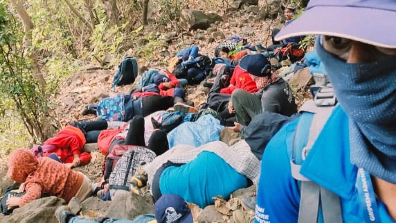 मढेघाटात ट्रेकिंगला गेलेल्या ५० विद्यार्थ्यांवर मधमाशांचा तुफान हल्ला; ४ जानेवारीची घटना, ३५ हून अधिक जखमी